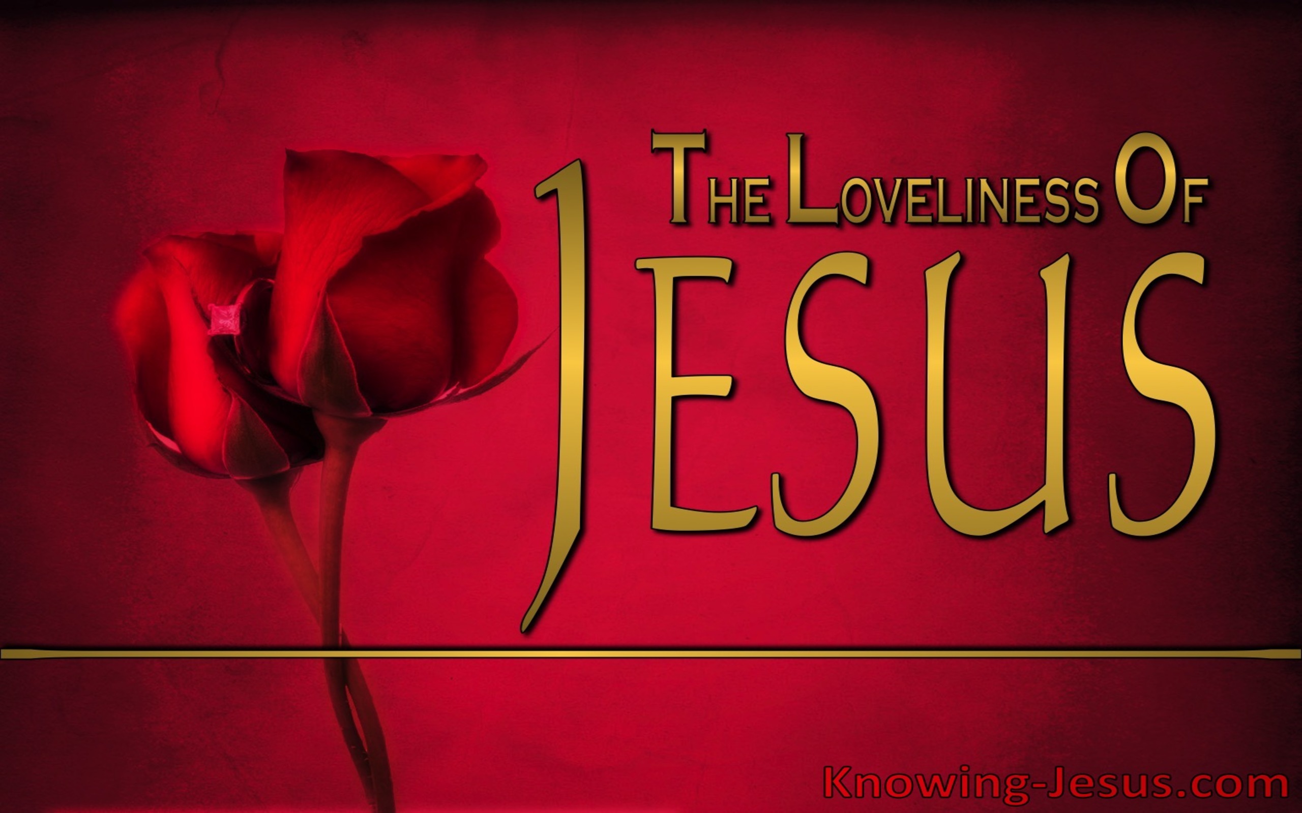 The Loveliness Of Jesus (devotional)10-18 (gold)